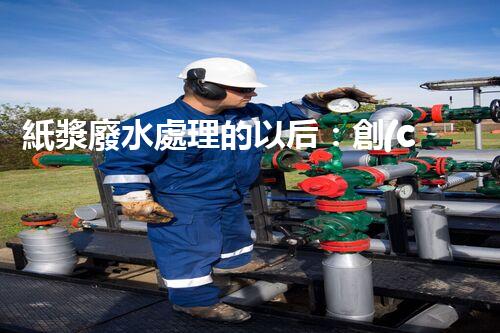 紙漿廢水處理的以后：創(chuàng)新技術(shù)與生態(tài)平衡？